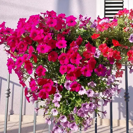 Sommerzauber