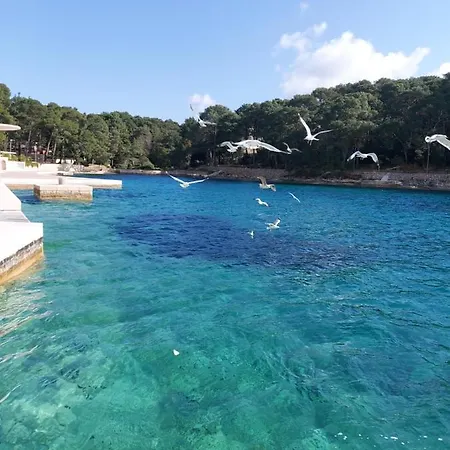 Sommerzauber Mali Lošinj