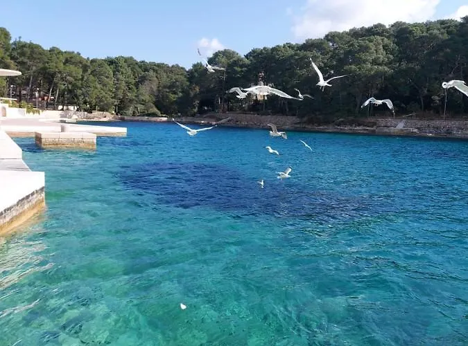 Sommerzauber Mali Lošinj